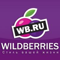 Интеграция с Wildberries по API